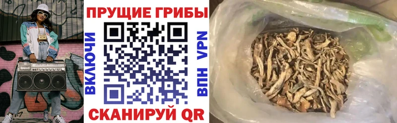 Галлюциногенные грибы Psilocybe  сколько стоит  Нягань 