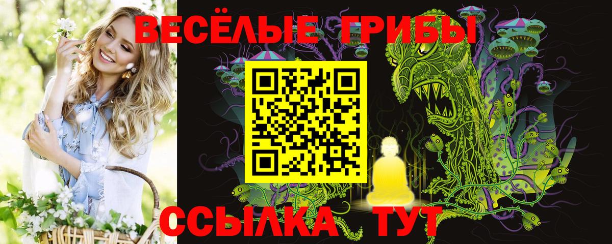 Псилоцибиновые грибы прущие грибы Нягань